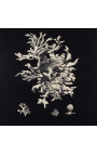 Square engraving of a coral with frame silveré 40 x 40 - Model 3