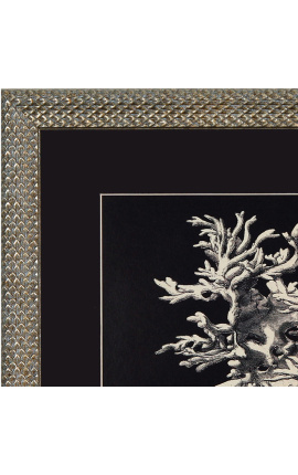 Gravure carrée d&#039;un corail avec cadre argenté 40 x 40 - Modèle 3
