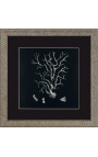 Square engraving of a coral with frame silveré 40 x 40 - Model 4