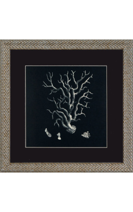 Square engraving of a coral with frame silveré 40 x 40 - Model 4