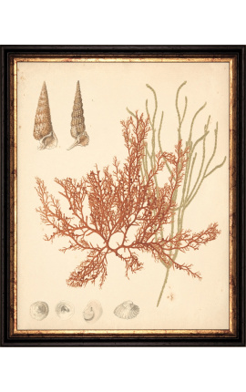 Incisione a colori rettangolare "Coral Archive" - Modello 1