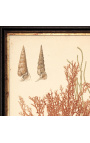Gravure rectangulaire en couleur "Archive des coraux" - Modèle 1