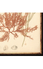 Crteži u pravougaonom obliku "Arhiva korala" - Model 1