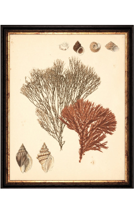 Rectangular color engraving "Coral Archive" - Model 1