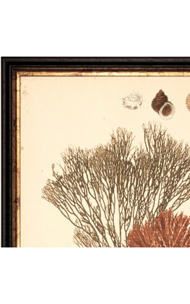 Rectangular color engraving &quot;Coral Archive&quot; - Model 1