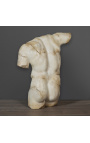 Grote Sculptuur "Gladiator" in fragment versie met een sublime patina