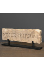 Duża rzymska gwiazda "Nosce Te Ipsumen" w sculpted sandstone