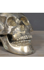 Metal lebka strieborná- Veľkosť L (20) cm)