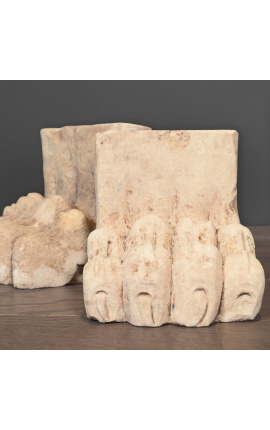 Patas de leão romanas esculpidas em pedra de areia