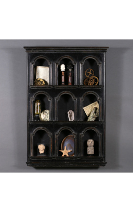 Ebonized wood shelf for curiosity cabinet collection