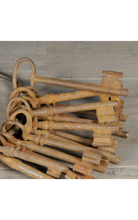 Set of 20 antique metal keys with rusty effect