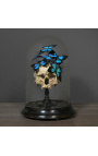 Crâne Memento Mori avec Papillons "Ulysses Ulysses" sous globe en verre sur support en bois