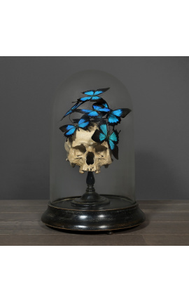 Skull Memento Mori с Papillons "Ulysses" под стеклянным шаром на деревянной основе