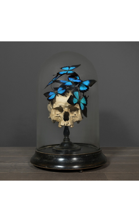 Lubanja Memento Mori s papilom "Odisej Odisej" ispod staklene kugle na drvenoj osnovi
