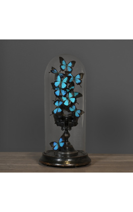 Velika črna lobanja Memento Mori z metulji "Odisej Odisej" pod steklenim globusom