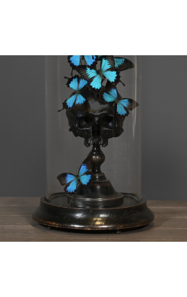 Big black skull Memento Mori with Butterflies &quot;Ulysses Ulysses&quot; under glass globe