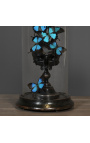 Grande crânio preto Memento Mori com borboletas "Ulisses Ulisses" em globo de vidro