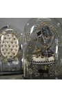 Ovale glazen koepel bruid op houten steun "Het medaillon"