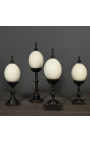 Ostrich egg on wooden baluster with square base