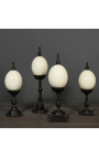 Ostrich egg on wooden large baluster with square base