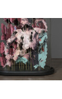 Anamorphose sous glob ovale en verre sur support en bois 
