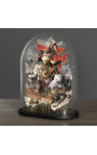 Anamorphose sous ball ovale en verre sur support en bois 