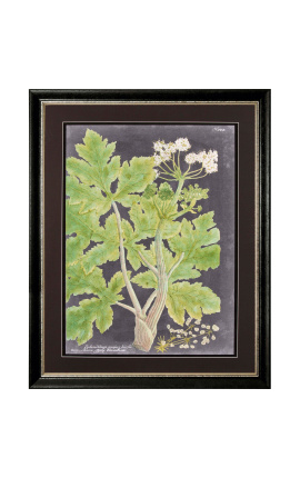 Kleurgravers "Spectaculaire vegetatie" - Model 2