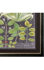 Rectangular engraving in colour "Spectacular vegetation" - Model 3