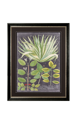 Rectangular engraving in colour "Spectacular vegetation" - Model 3