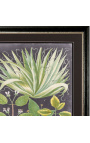 Grabado rectangular en color "Espectacular vegetación" - Modelo 3