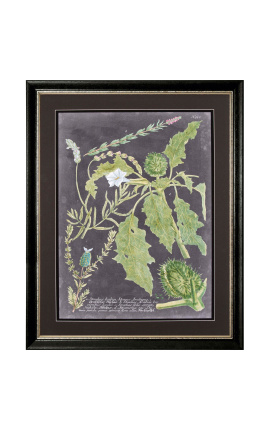 Rectangular engraving in colour "Spectacular vegetation" - Model 1