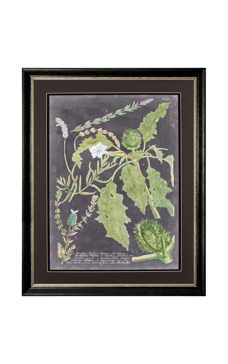 Kleurgravers "Spectaculaire vegetatie" - Model 1