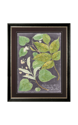 Grabado rectangular en color "Espectacular vegetación" - Modelo 4