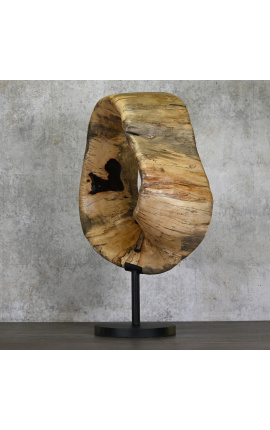 Contemporary sculpture in Tamarin wood &quot;Anneau Temporel&quot; Size M