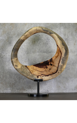 Moderne Skulptur in Tamarin Holz "Anneau Temporär" Größe L