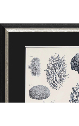 Black and white coral engraving with black and silver frame