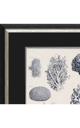 Черно-белая гравировка кораллов в черно-серебряной рамке