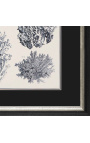 Černobílá korálová rytina s černo-stříbrným rámem