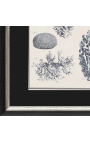 Черно-белая гравировка кораллов в черно-серебряной рамке