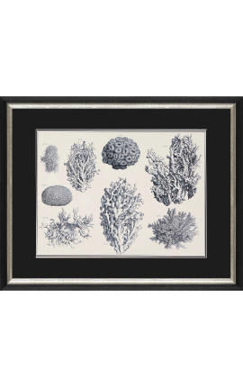 Black and white coral engraving with black and silver frame