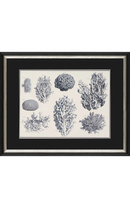 Incisione in corallo bianco e nero con cornice nera e argento