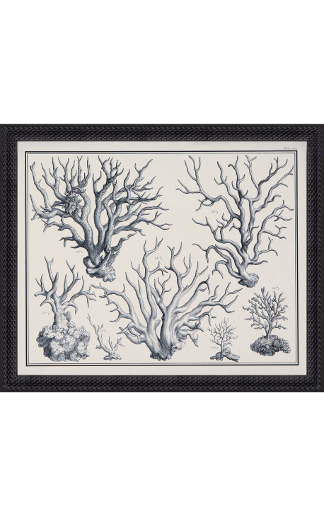 Black and white coral engraving with black frame - 55 x 45 cm - Model 1