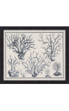 Grabado de coral blanco y negro con marco negro - 55 x 45 cm - Modelo 1