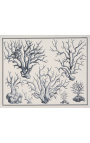 Black and white coral engraving with black frame - 55 x 45 cm - Model 1