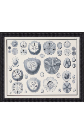 Ricci neri e bianchi incisi con una cornice nera- 55 x 45 cm - Modello 2