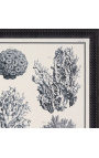 Grabado de coral blanco y negro con marco negro - 55 x 45 cm - Modelo 3