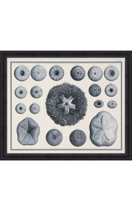 Ricci neri e bianchi incisi con una cornice nera- 55 x 45 cm - Modello 4