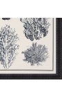 Gravura de corali alb-negru cu cadru negru - 55 x 45 cm - Modelul 3