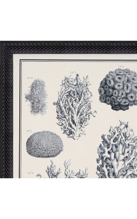 Grabado de coral blanco y negro con marco negro - 55 x 45 cm - Modelo 3