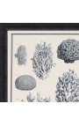 Zwart-wit koraal gegraveerd met zwart kader - 55 x 45 cm - Model 3
